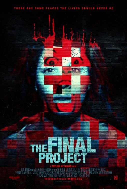 Poster of the movie The Final Project