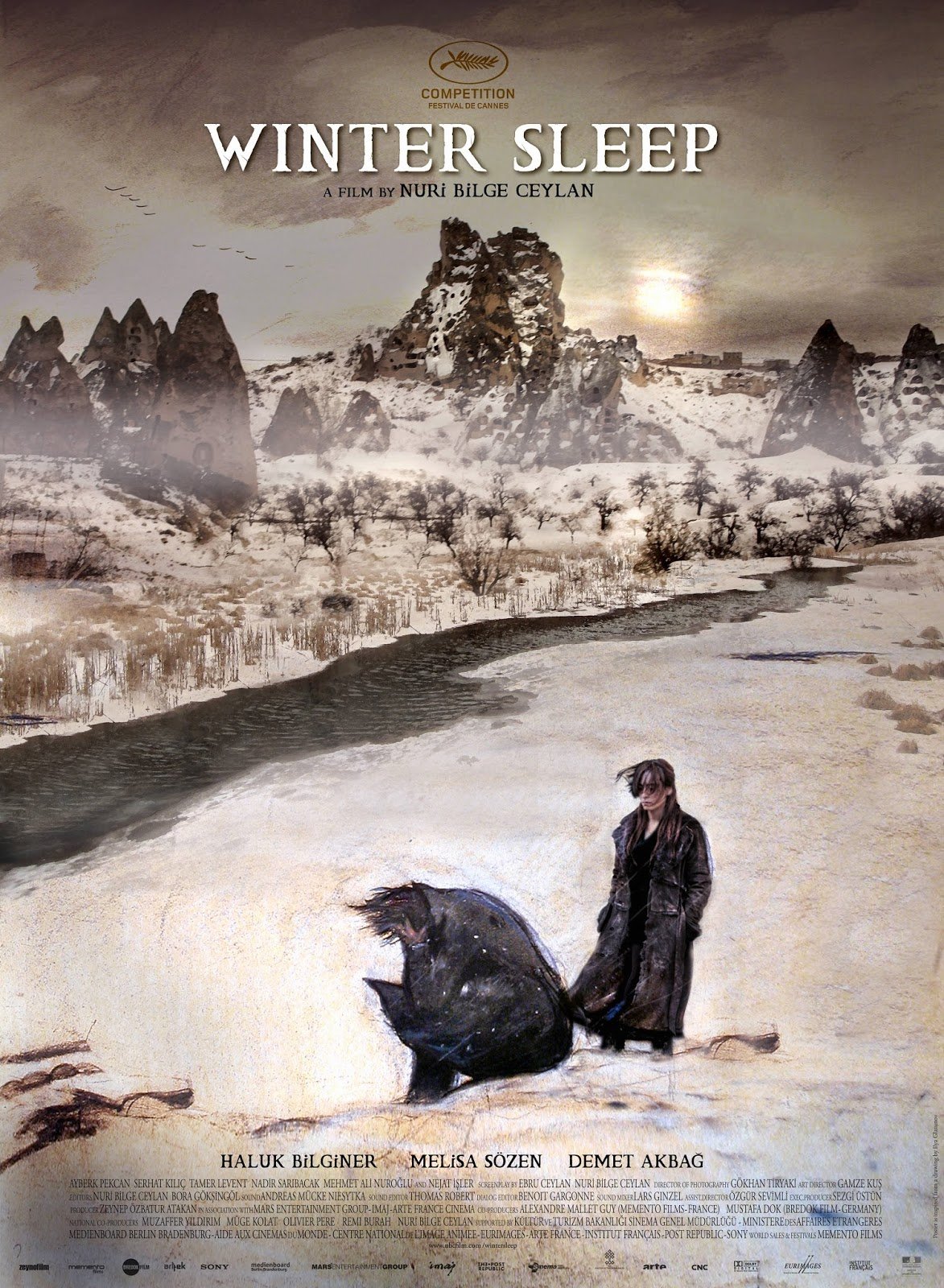 Poster of the movie Winter Sleep