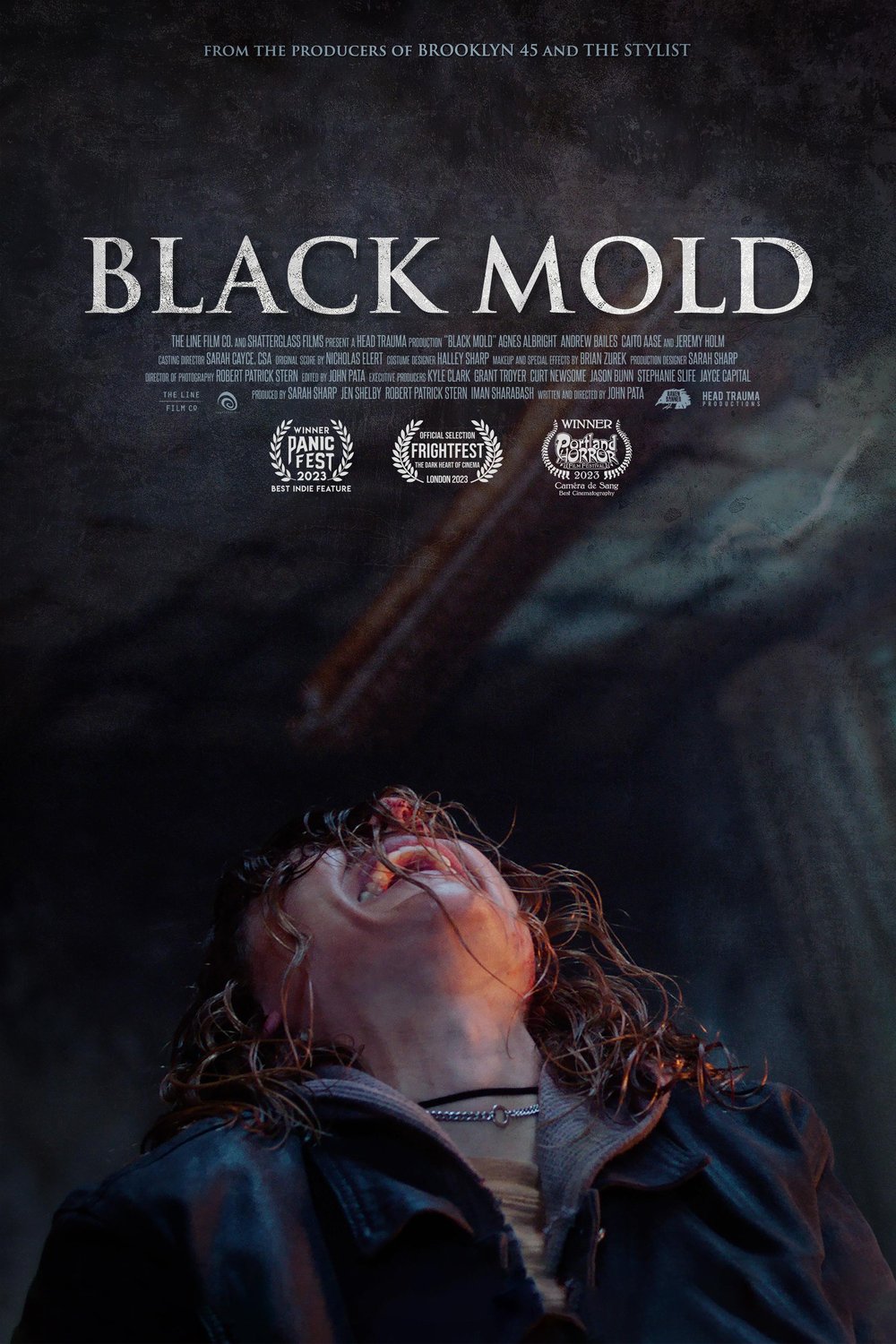 Poster of the movie Black Mold