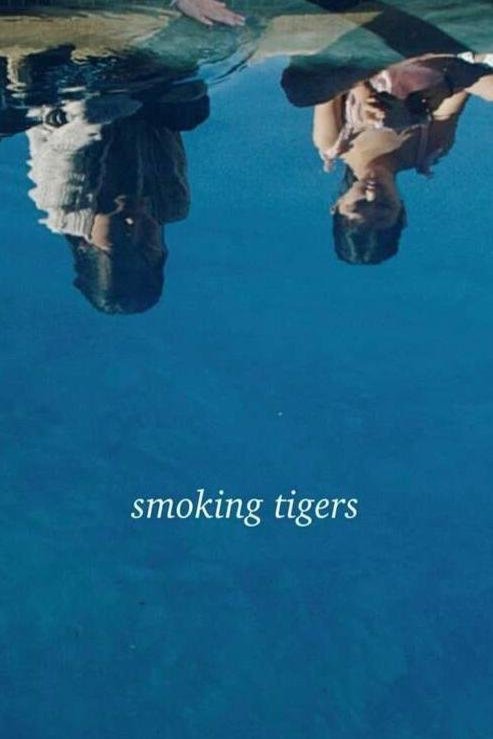 Poster of the movie Smoking Tigers