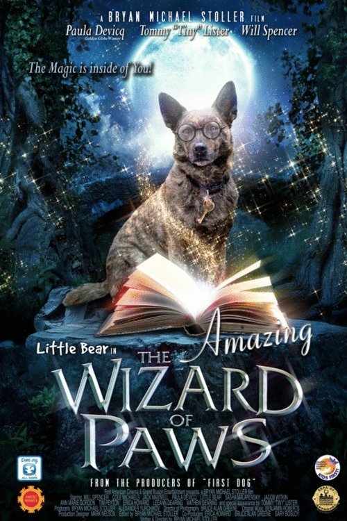Poster of the movie The Amazing Wizard of Paws