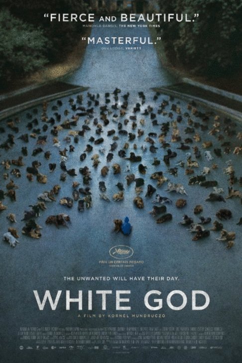Poster of the movie White God