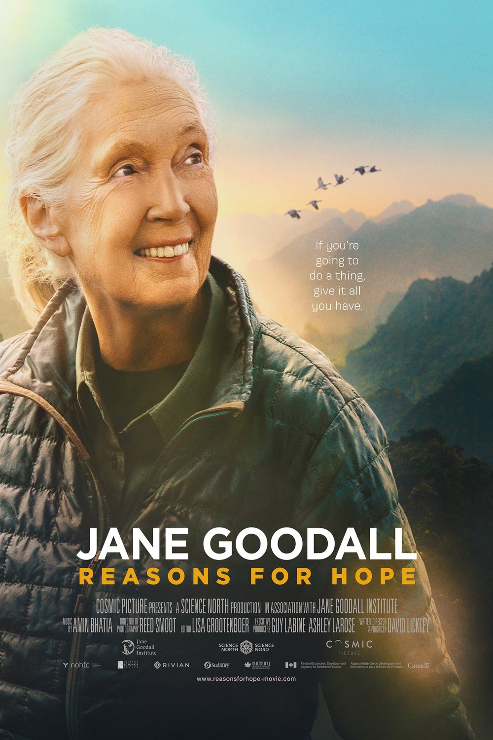 Poster of the movie Jane Goodall: Reasons for Hope