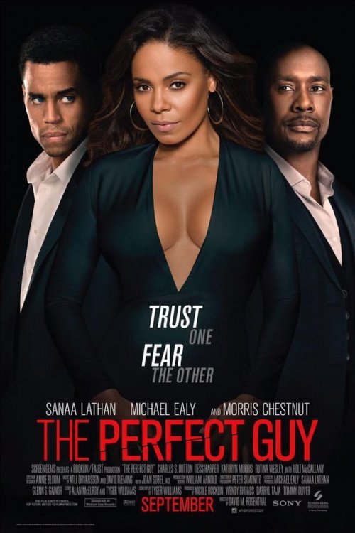 Poster of the movie The Perfect Guy