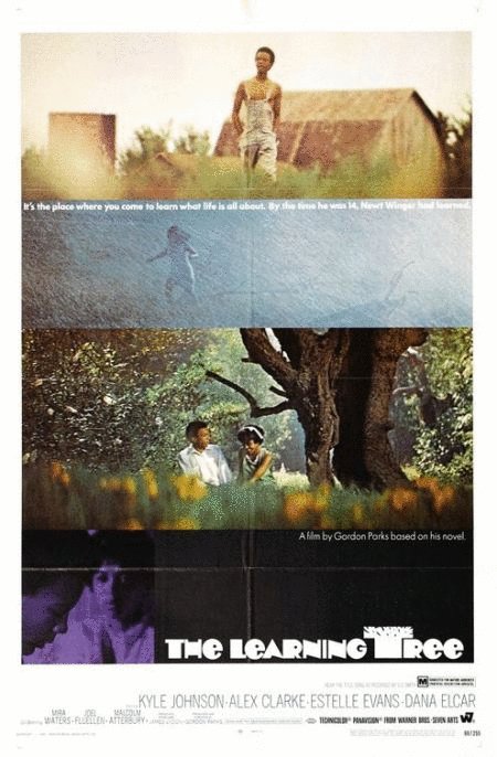 Poster of the movie The Learning Tree