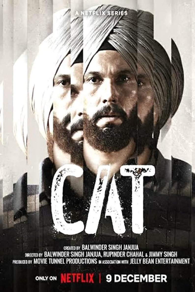 Punjabi poster of the movie Cat