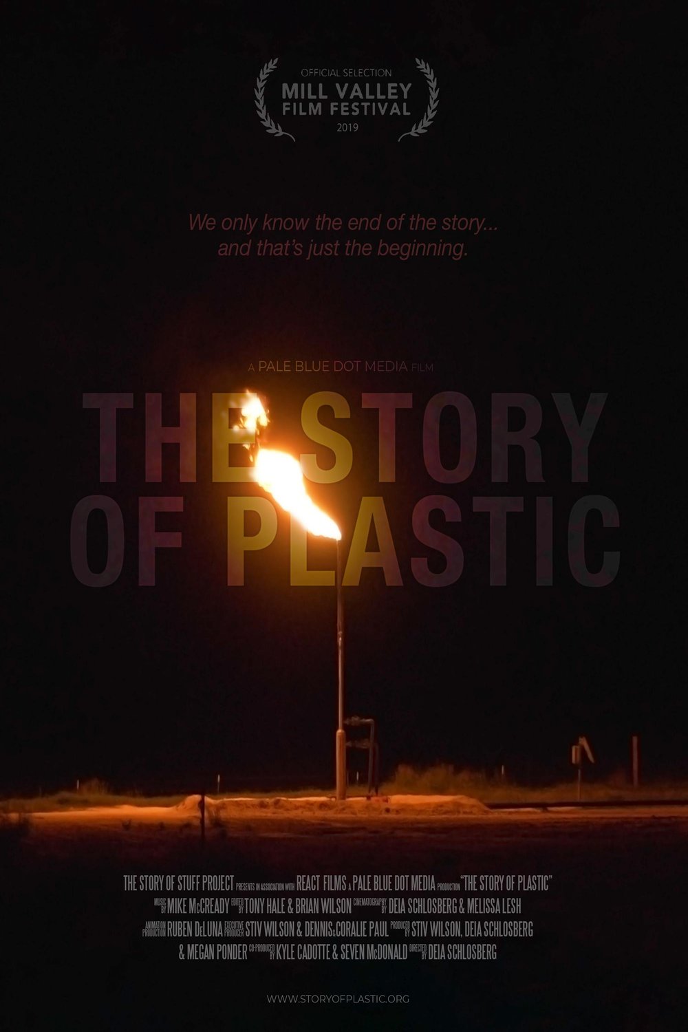 Poster of the movie The Story of Plastic