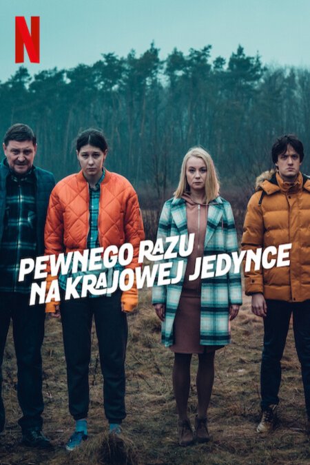 Polish poster of the movie Pewnego razu na krajowej jedynce