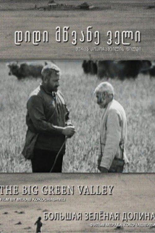 Georgian poster of the movie Big Green Valley