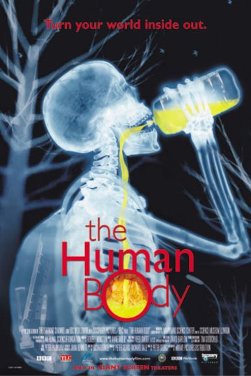 Poster of the movie The Human Body