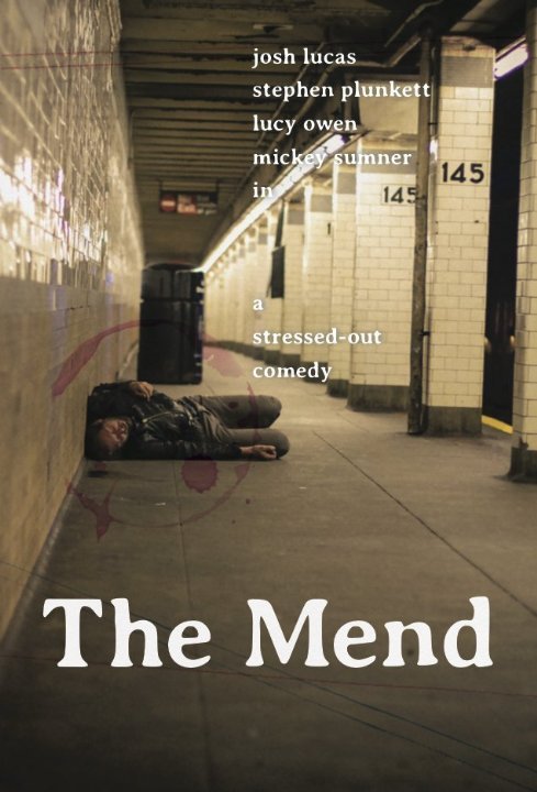 Poster of the movie The Mend