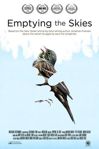 Poster of the movie Emptying the Skies