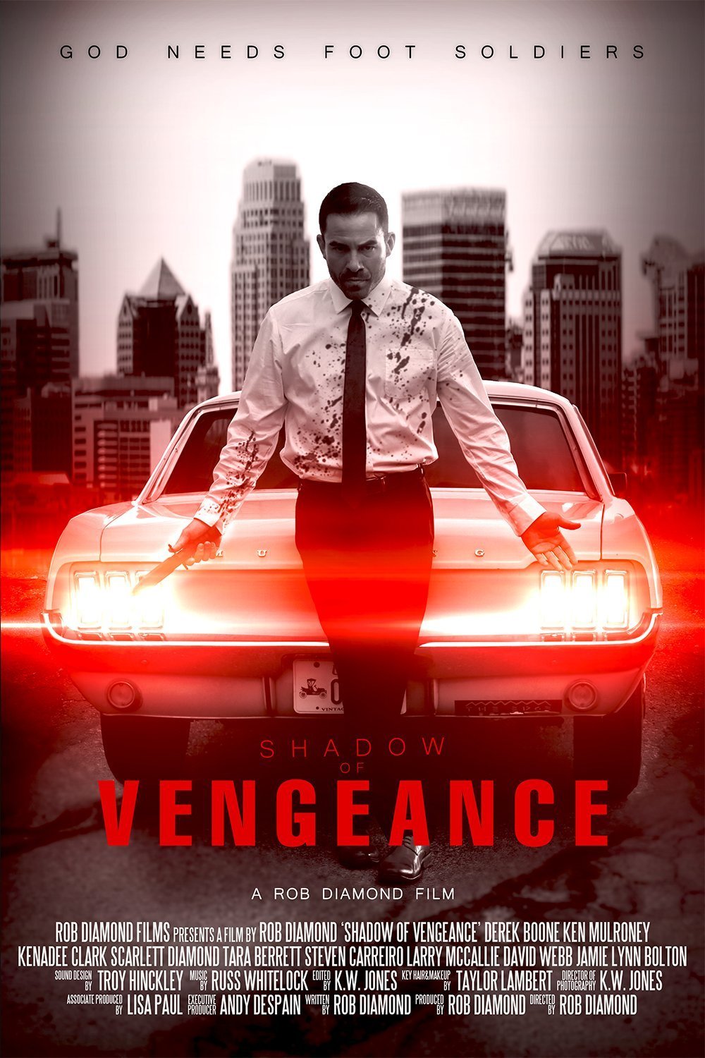 Poster of the movie Shadow of Vengeance