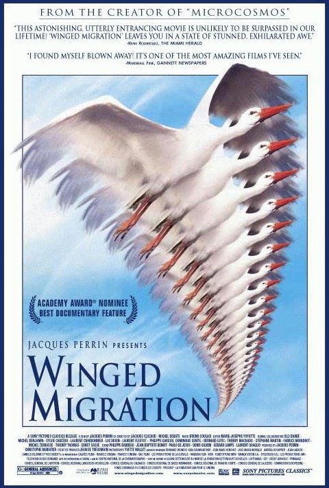 Poster of the movie Winged Migration