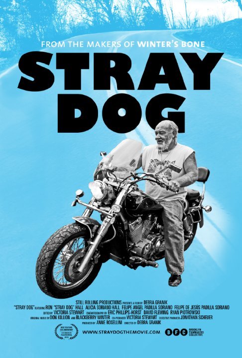 Poster of the movie Stray Dog