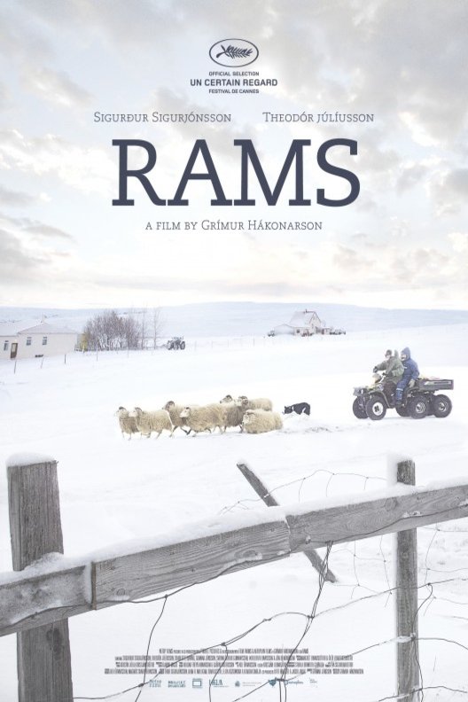 Poster of the movie Rams