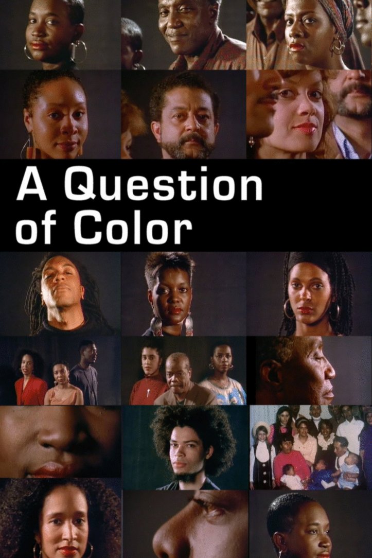 Poster of the movie A Question of Color