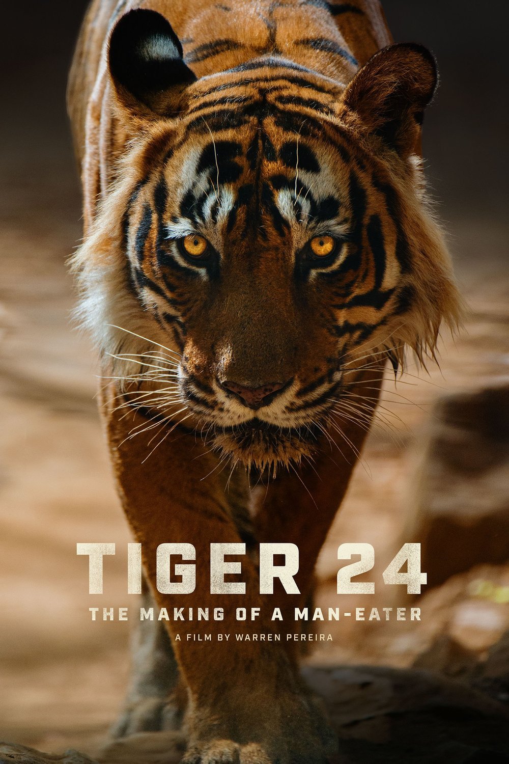 Poster of the movie Tiger 24