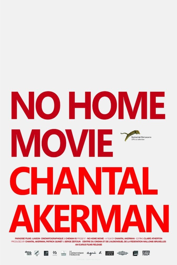 Poster of the movie No Home Movie