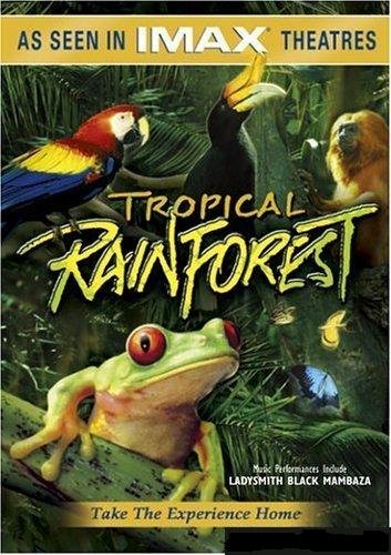Poster of the movie Tropical Rainforest