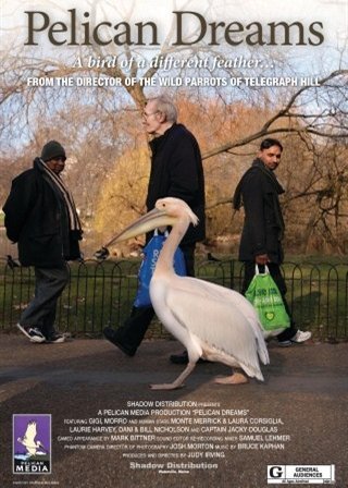 Poster of the movie Pelican Dreams