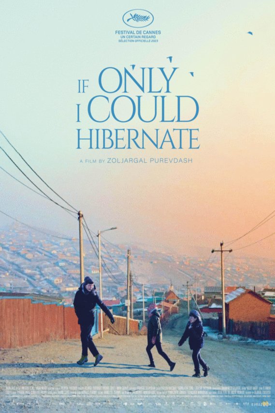 Poster of the movie If Only I Could Hibernate