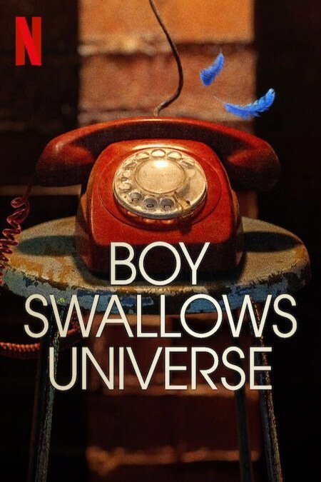 Poster of the movie Boy Swallows Universe