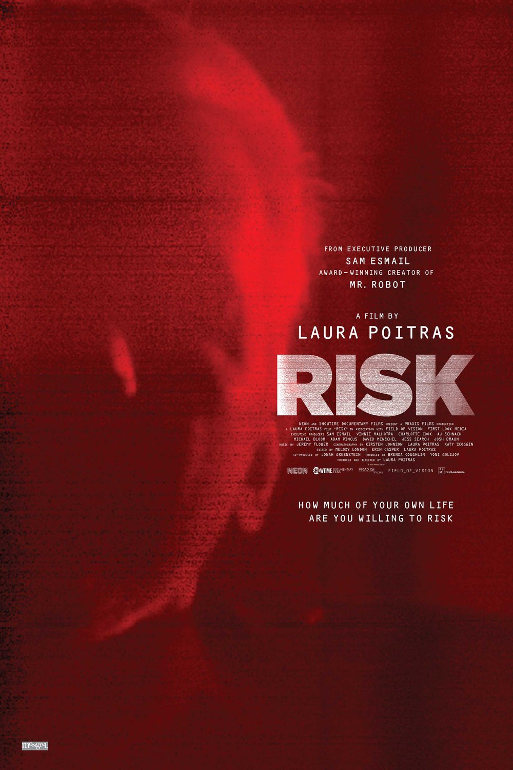 L'affiche du film Risk
