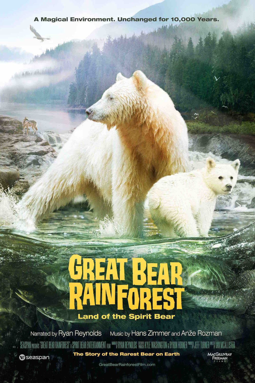 L'affiche du film Great Bear Rainforest
