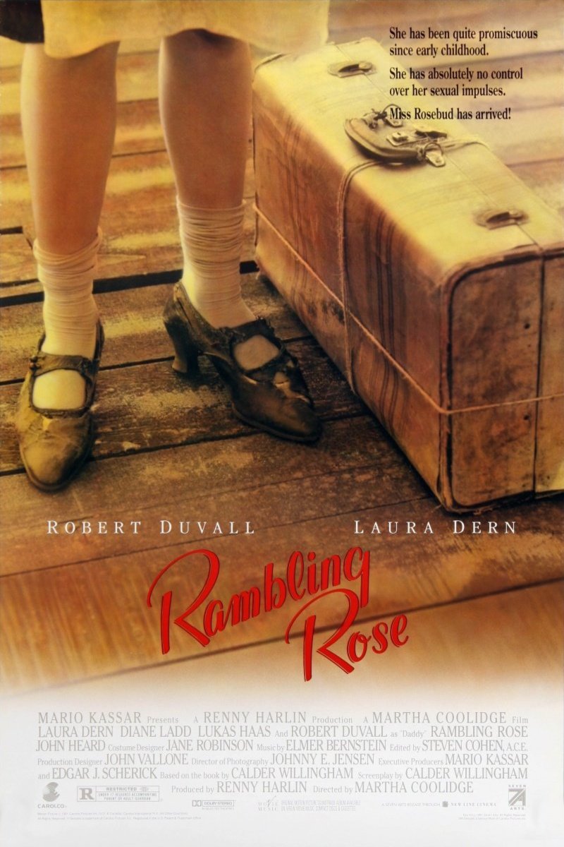 L'affiche du film Rambling Rose