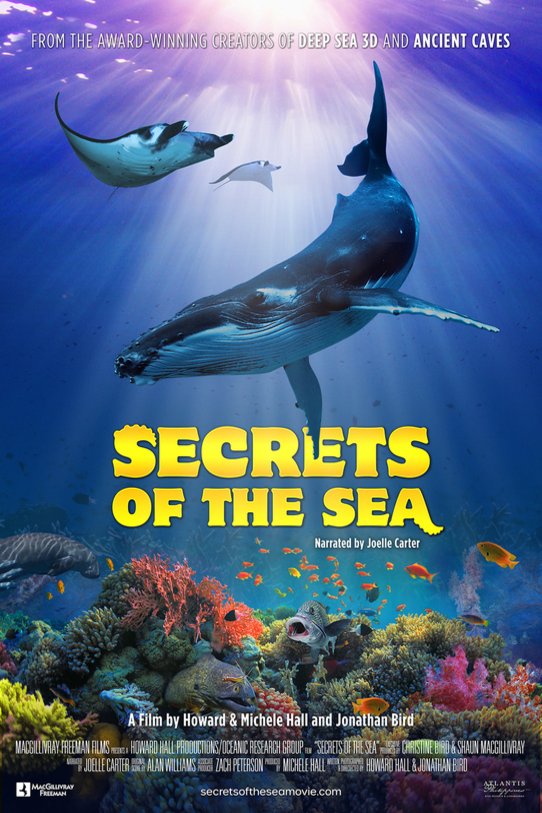 L'affiche du film Secrets of the Sea