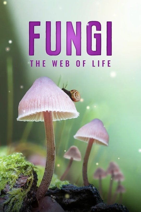 Poster of the movie The Secret World of Fungi