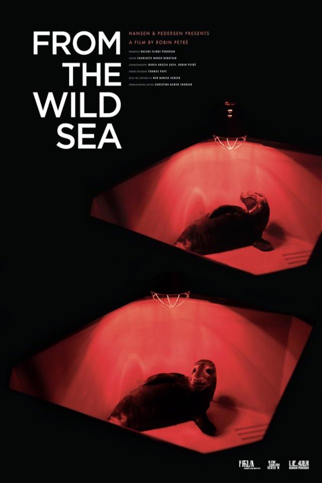 L'affiche du film From the Wild Sea