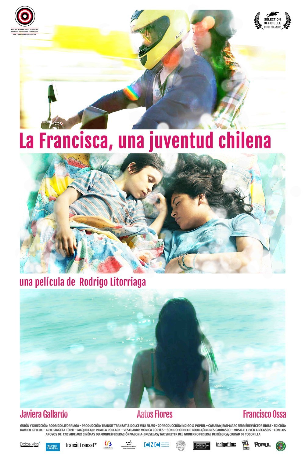 Spanish poster of the movie La Francisca, a Chilean Youth