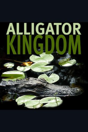 Poster of the movie Alligator Kingdom