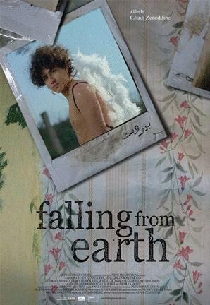 L'affiche du film Falling From Earth