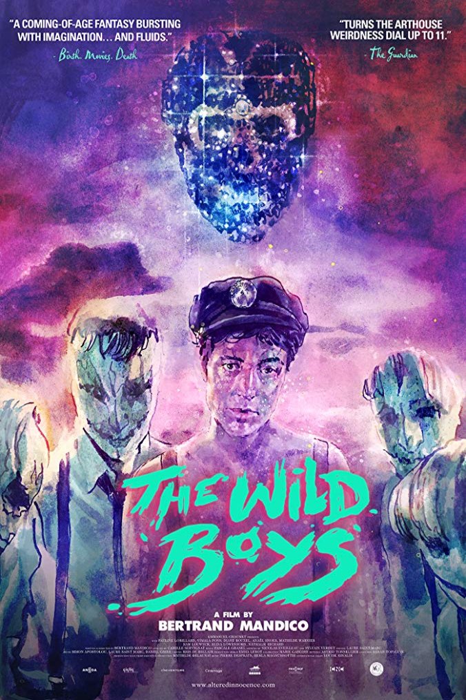 Poster of the movie The Wild Boys