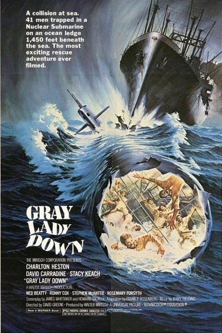 L'affiche du film Gray Lady Down