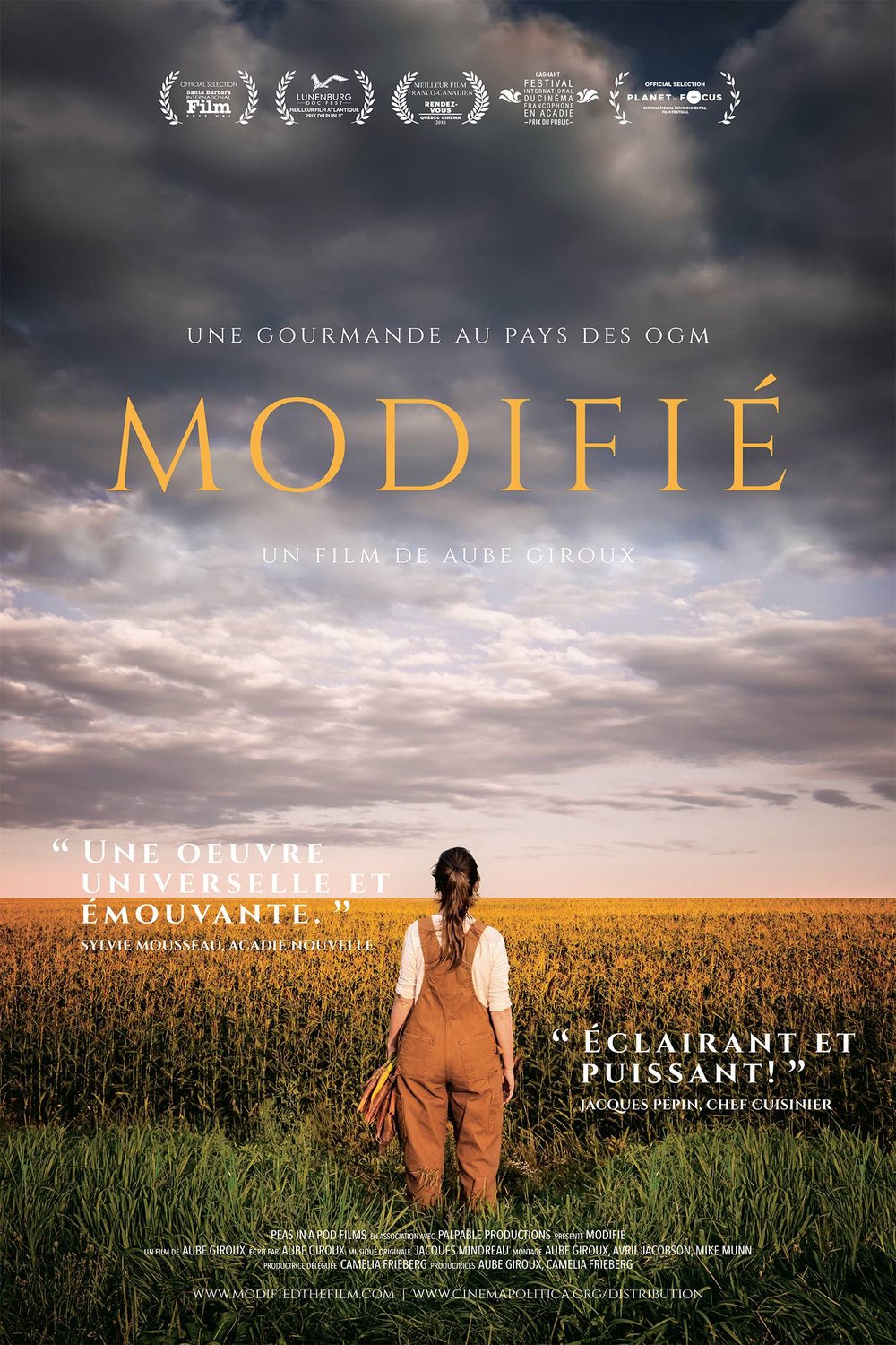 Poster of the movie Modifié