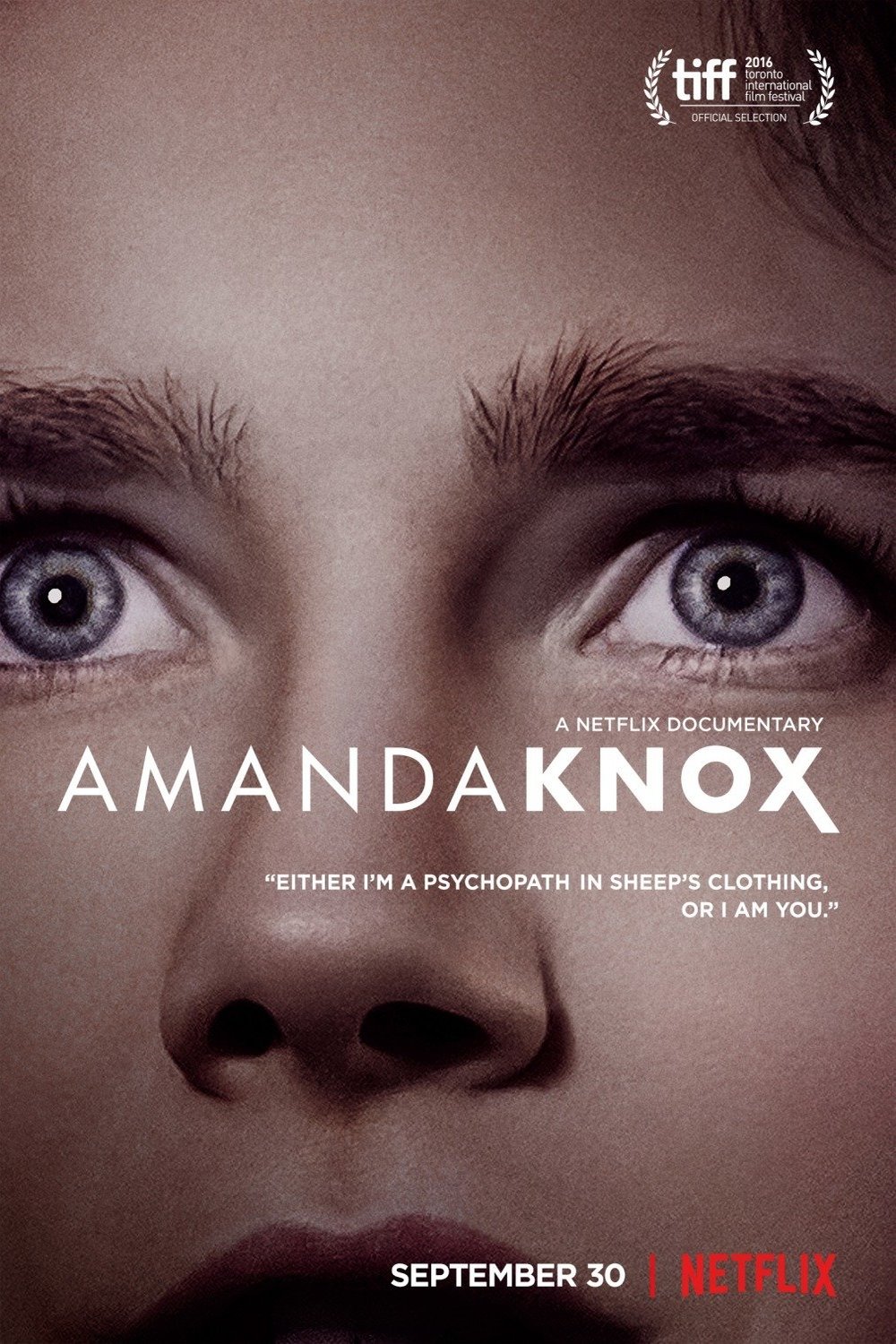 Poster of the movie Amanda Knox