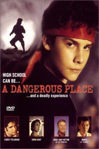 L'affiche du film A Dangerous Place