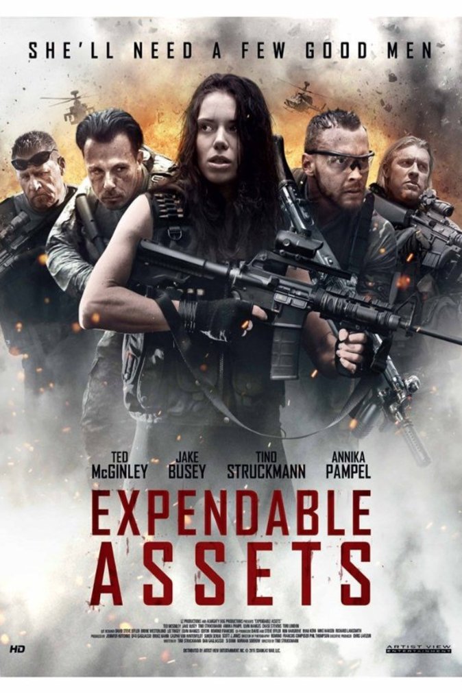L'affiche du film Expendable Assets