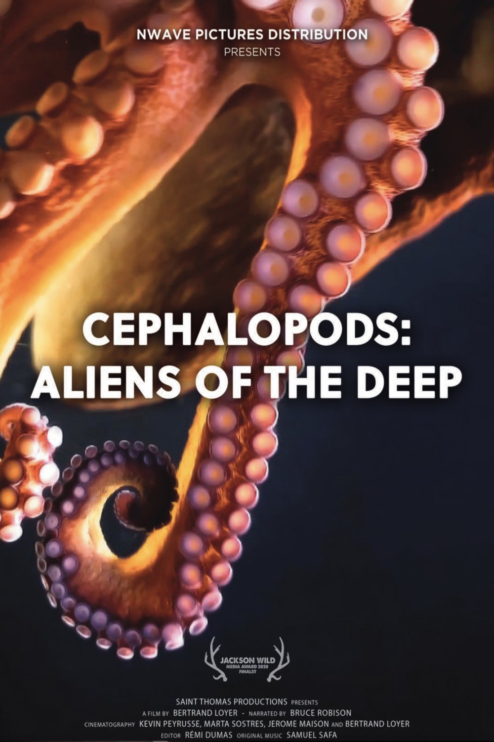 Poster of the movie Cephalopods: Aliens of the Deep