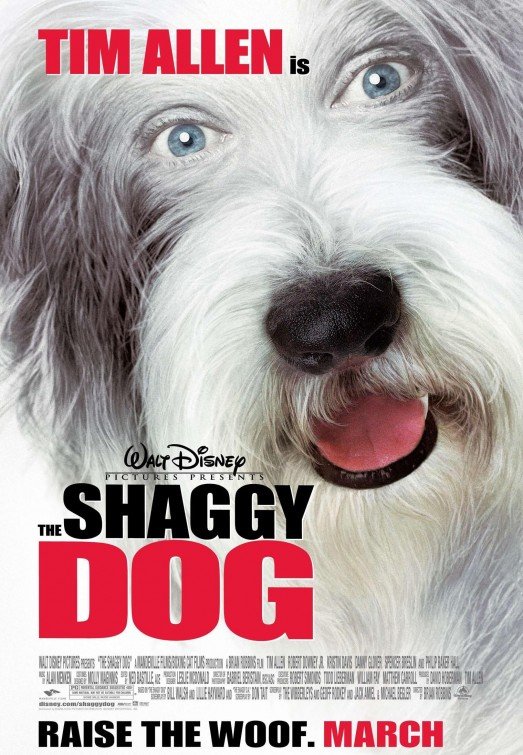 L'affiche du film The Shaggy Dog