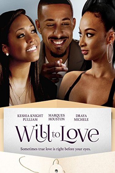 L'affiche du film Will to Love