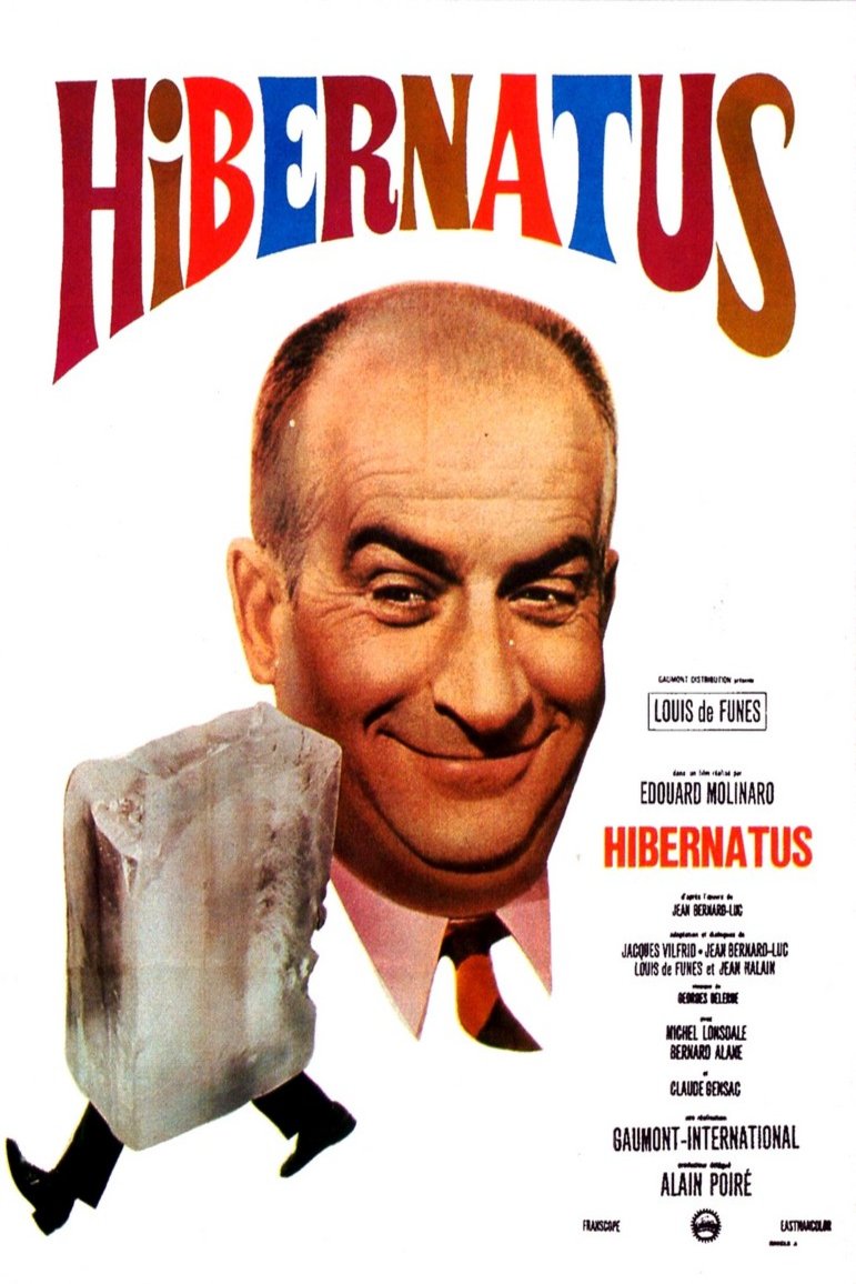 Poster of the movie Hibernatus