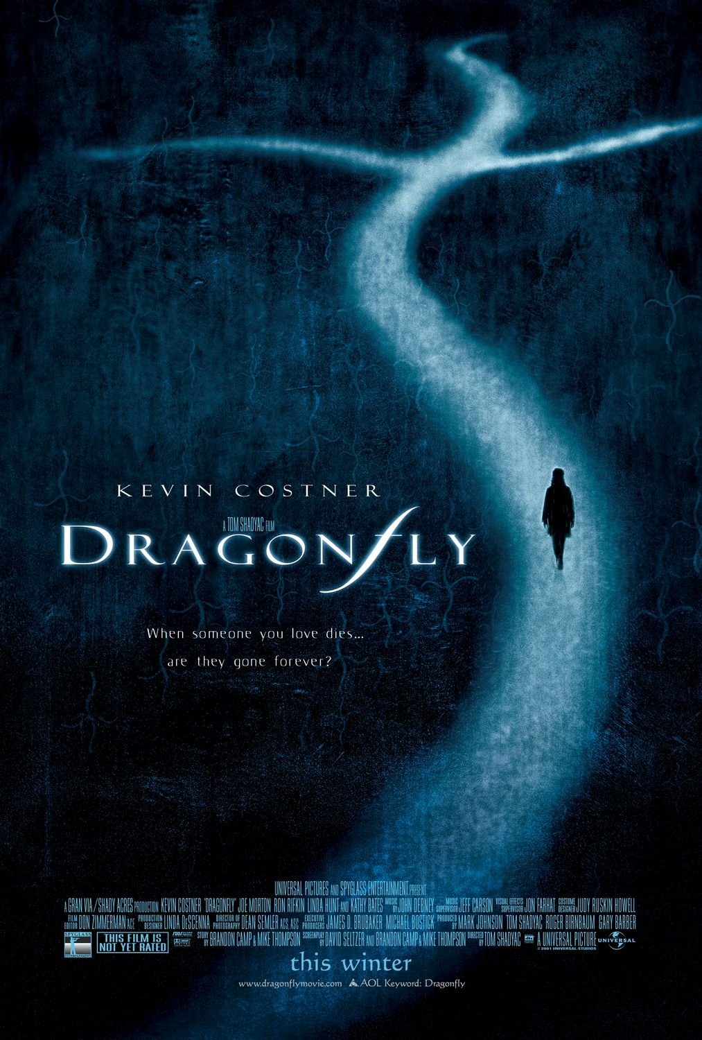 L'affiche du film Dragonfly