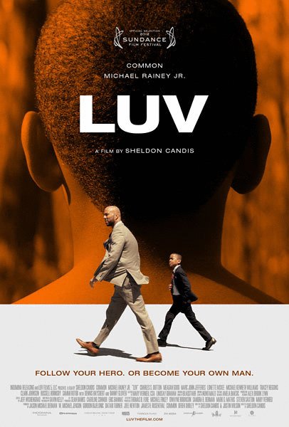 L'affiche du film LUV