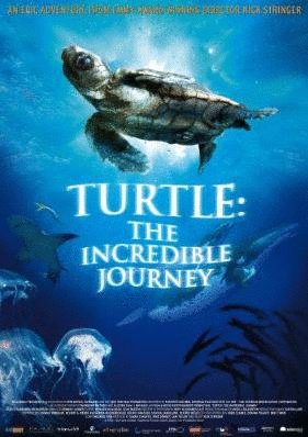 L'affiche du film Turtle: The Incredible Journey