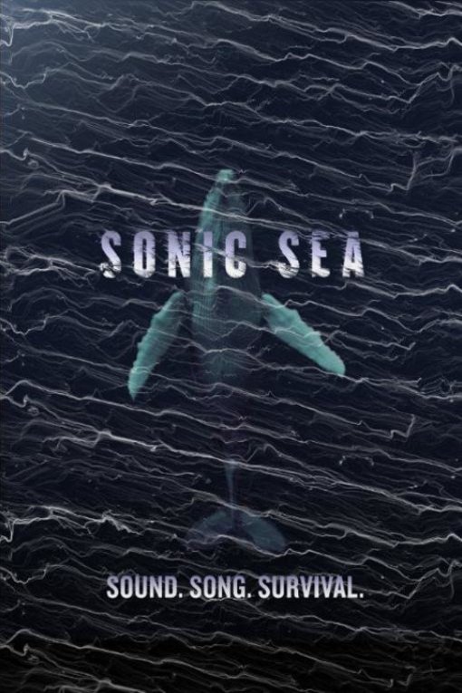 L'affiche du film Sonic Sea